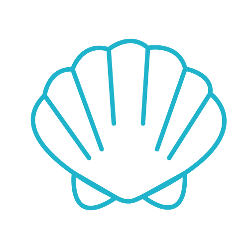 a blue clam shell icon
